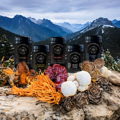 5 Functional Mushrooms You Should Be Including in Your Diet for Optimal Health