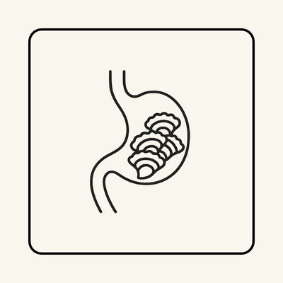 Gut & Microbiome Support