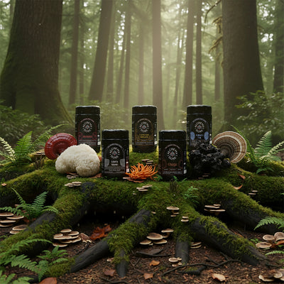MUSHROOM EXTRACTS - Alchemy Dose