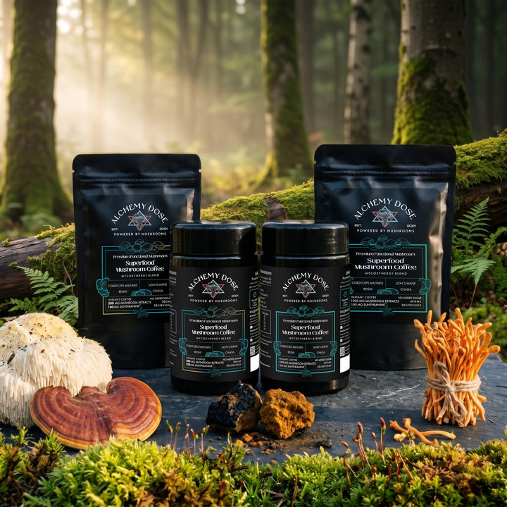 Alchemy Dose Superfood Mushroom Coffee jars and pouches in a forest with Lion’s Mane, Reishi, Cordyceps and birch Chaga