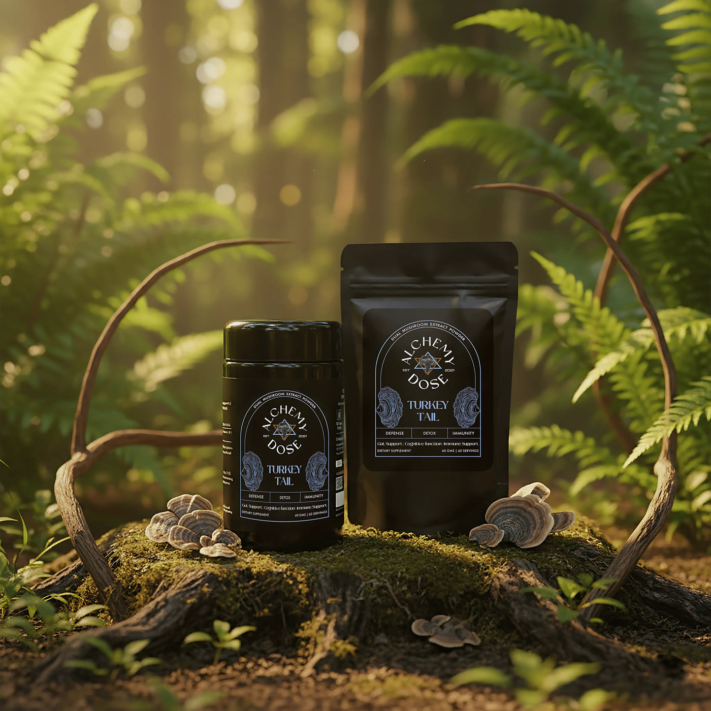 TURKEY TAIL MUSHROOM EXTRACT