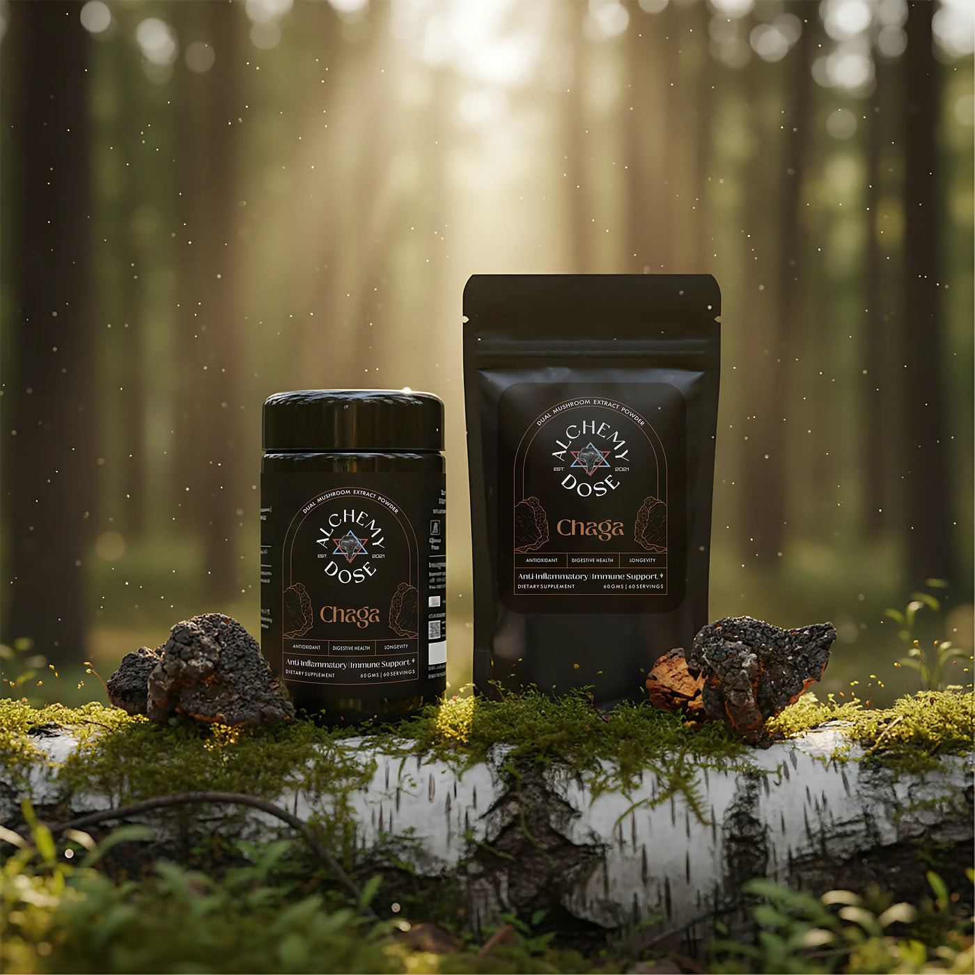 CHAGA EXTRACT