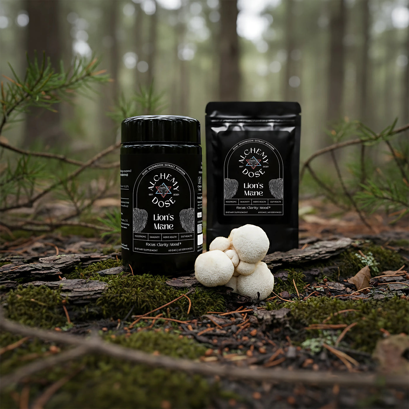 LION'S MANE MUSHROOM EXTRACT