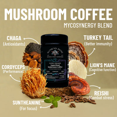 Mushroom Coffee Mycosynergy Blend With Suntheanine™