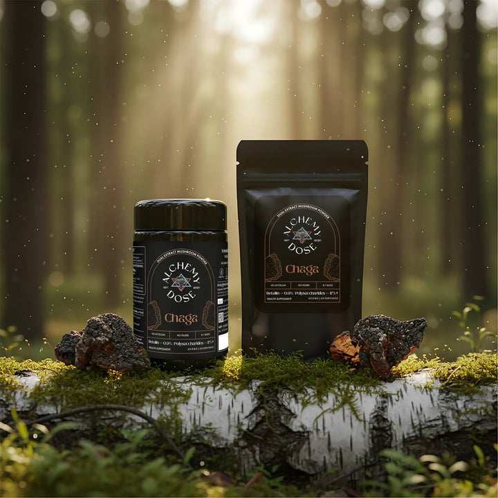 Chaga Mushroom Extract