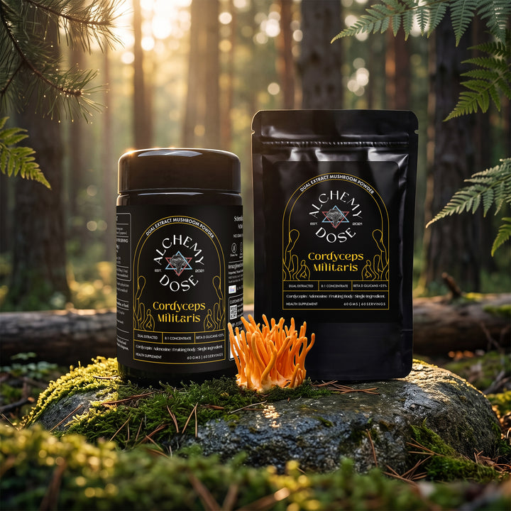 Cordyceps Militaris Mushroom Extract by Alchemy Dose, whole fruiting body, 8 to 1 dual extract