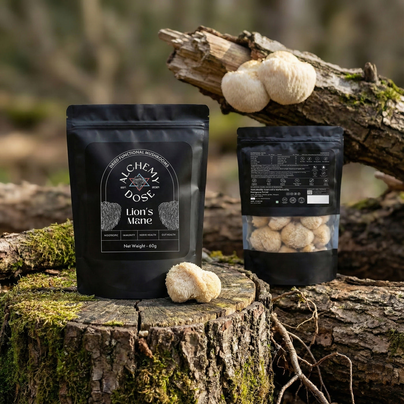 Dried Lion's Mane Mushroom