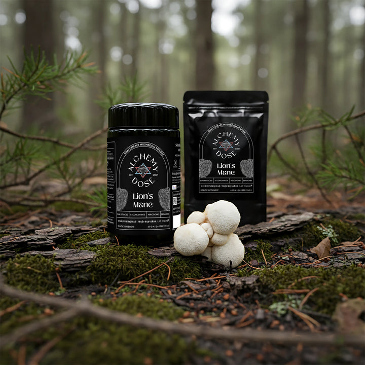 Alchemy Dose Lion&