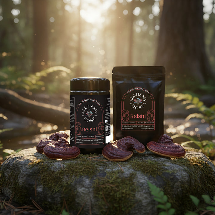Reishi Mushroom Extract by Alchemy Dose, Ganoderma lucidum, 15 to 1 dual extract