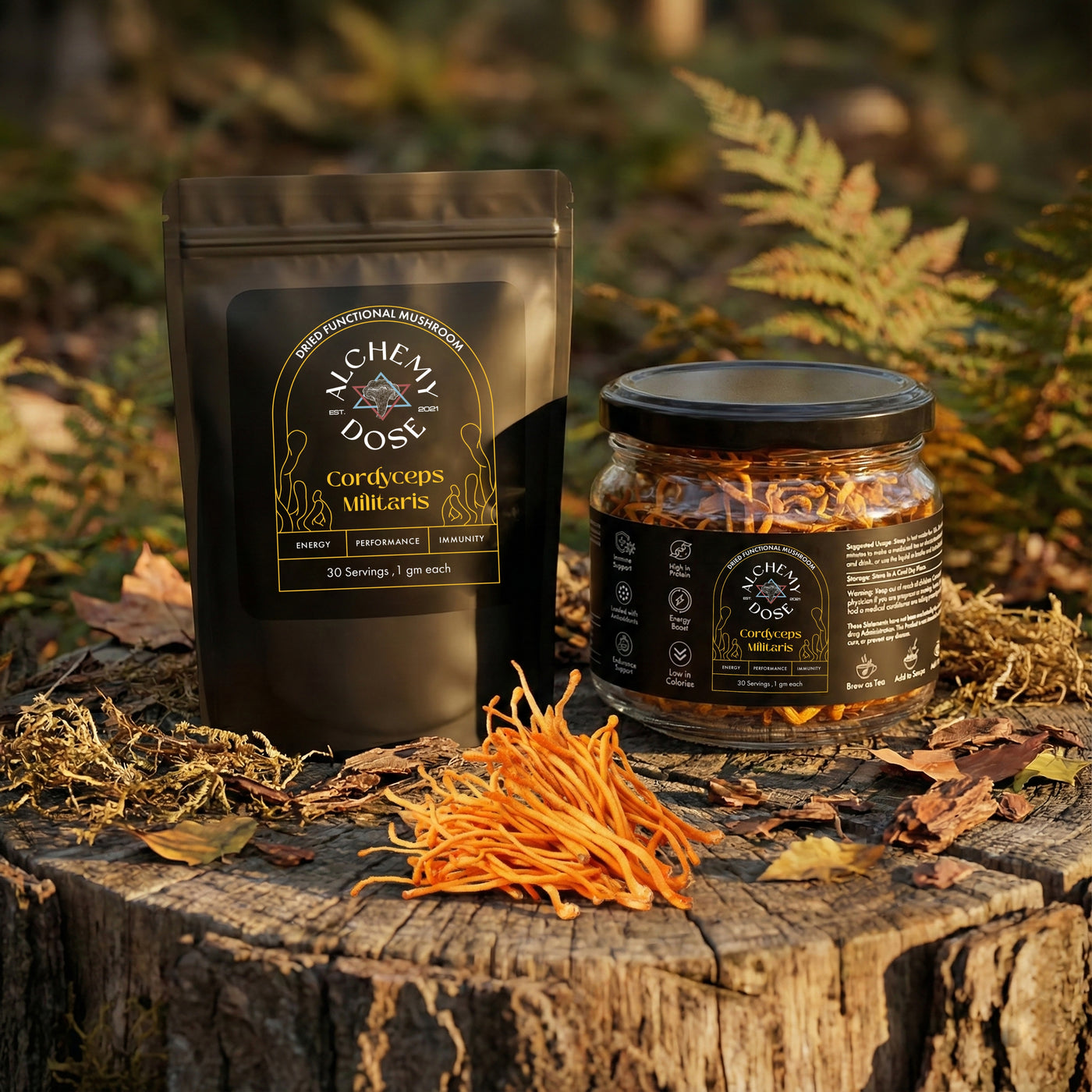 Dried Cordyceps Militaris Mushroom