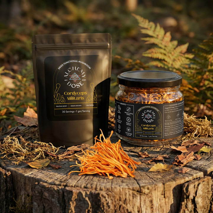 Dried Cordyceps Militaris mushroom by Alchemy Dose, whole orange fruiting bodies, never powdered