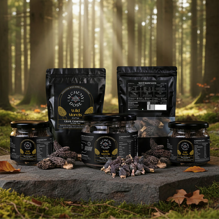 Wild Himalayan Gucchi Mushrooms | Premium Morels