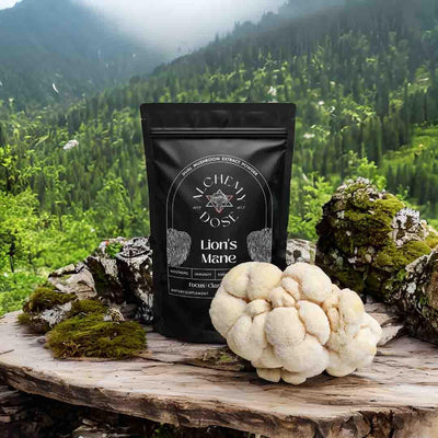 LION'S MANE MUSHROOM EXTRACT